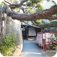 神社の写真